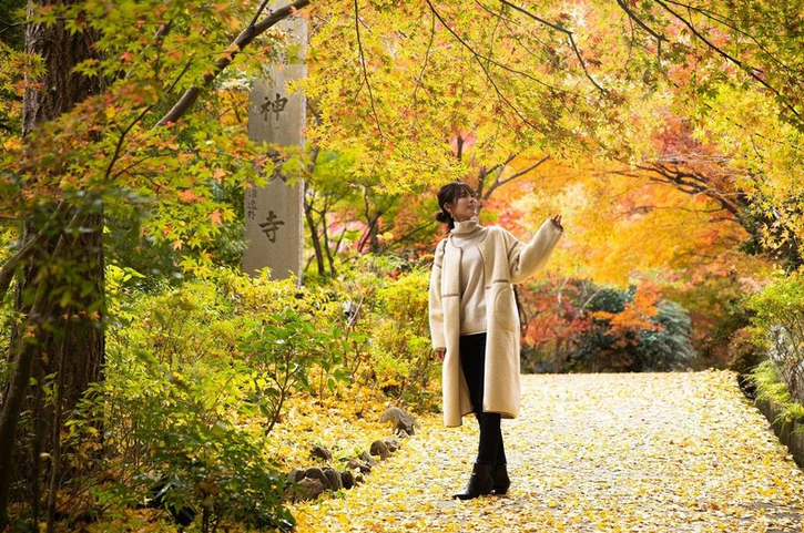 「森の京都」。歴史と日本の原風景に出逢う1泊2日の旅記事に出演中